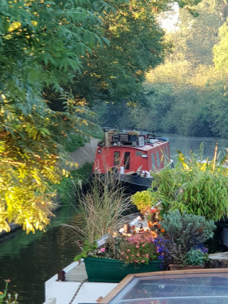 Freedom on the River Avon near Bath, summer 2023